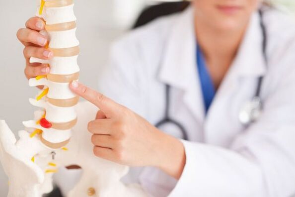 Doctor demonstrating spinal model